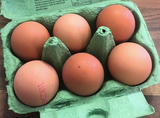 Large Free Range Eggs - pack of 6